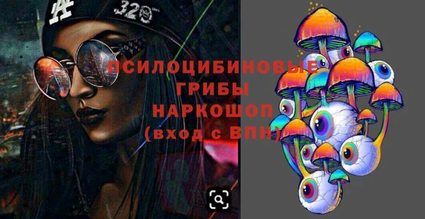 apvp Белокуриха