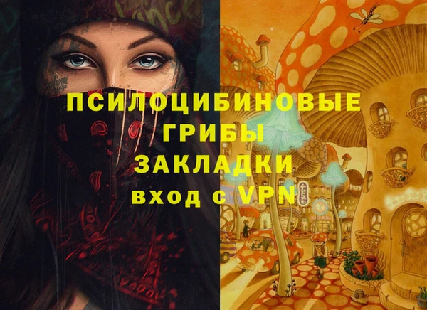 apvp Белокуриха