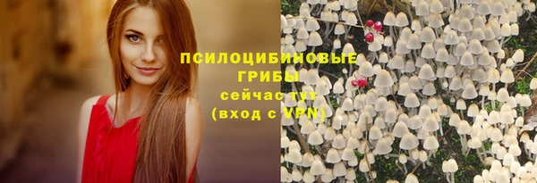 apvp Белокуриха